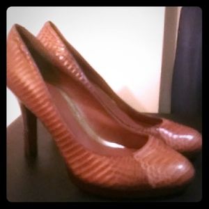 Ralph Lauren Size 8 1/2 Snake skin